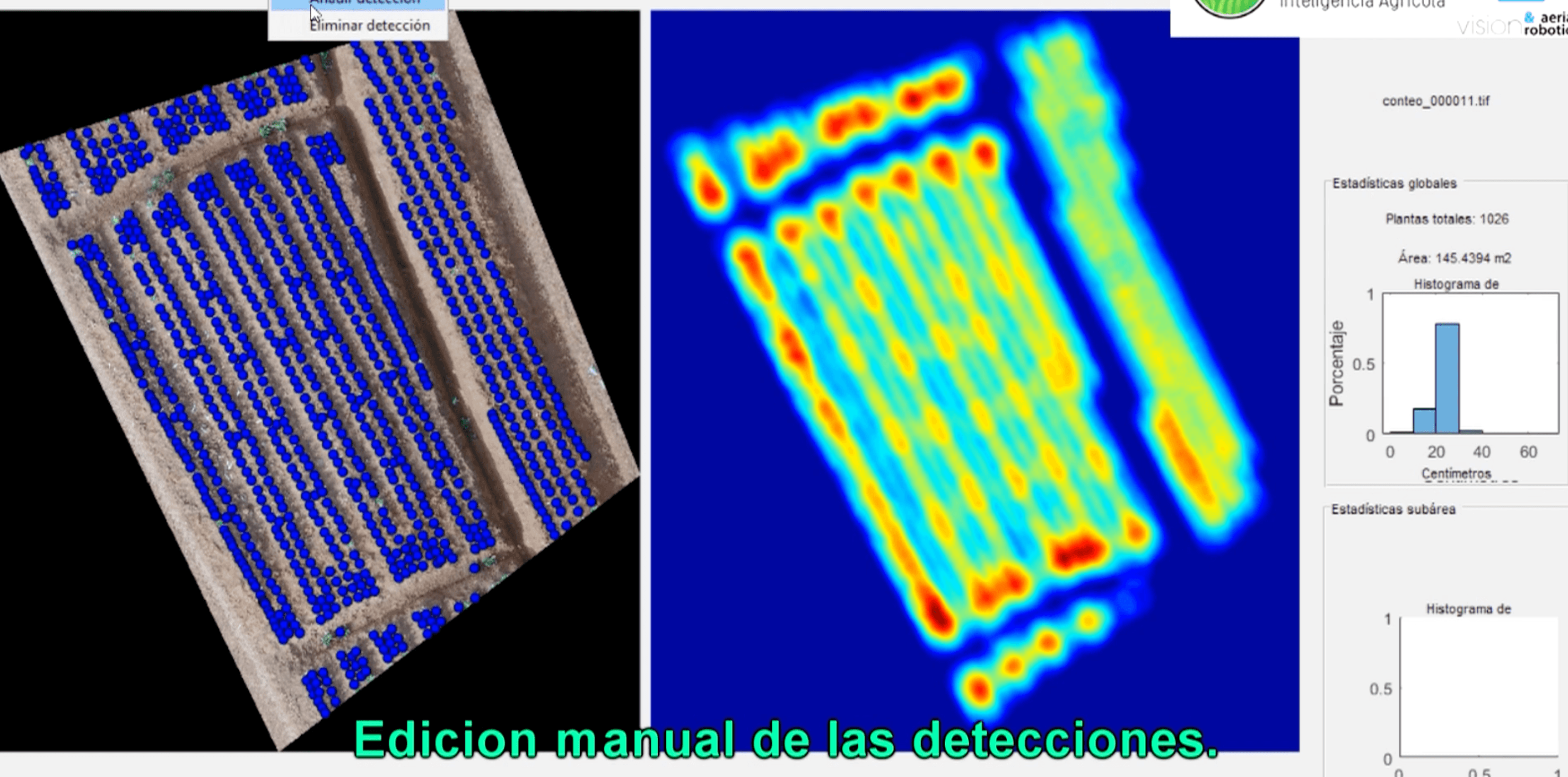 AUTOMATIC COUNTING OF EXTENSIVE PINEAPPLE FIELDS